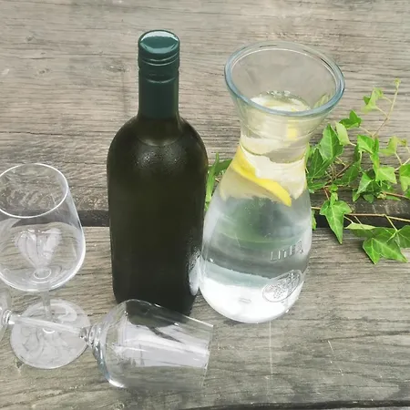 - Goricko Park * Kobilje